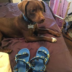 Toddler TEVA sandals GUC